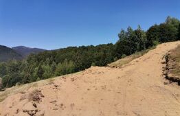 Teren 10.000 mp, extravilan, priveliste superba, Rachitele