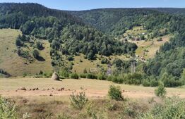 Teren 10.000 mp, extravilan, priveliste superba, Rachitele