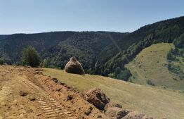 Teren 10.000 mp, extravilan, priveliste superba, Rachitele