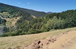 Teren 10.000 mp, extravilan, priveliste superba, Rachitele