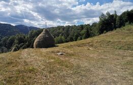 Teren 10.000 mp, extravilan, priveliste superba, Rachitele