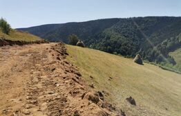 Teren 10.000 mp, extravilan, priveliste superba, Rachitele