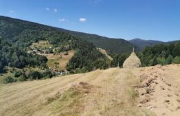 Teren 10.000 mp, extravilan, priveliste superba, Rachitele