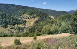 Teren 10.000 mp, extravilan, priveliste superba, Rachitele