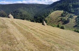 Teren 10.000 mp, extravilan, priveliste superba, Rachitele