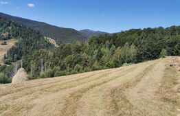 Teren 10.000 mp, extravilan, priveliste superba, Rachitele