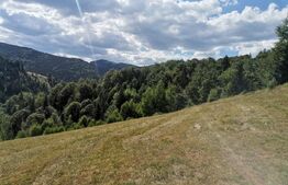 Teren 10.000 mp, extravilan, priveliste superba, Rachitele