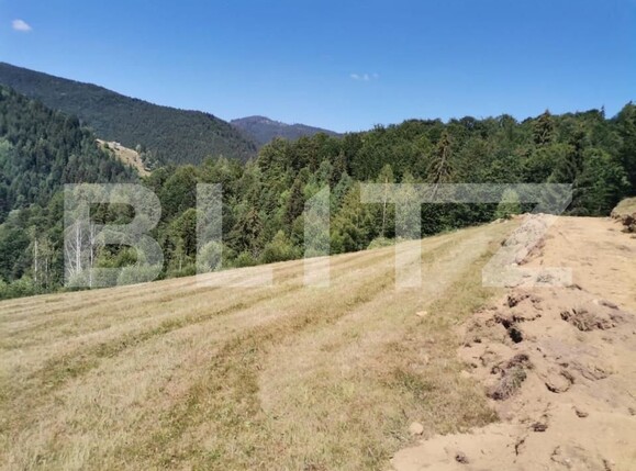 Teren de vânzare Rachitele - 154615TV | BLITZ Cluj-Napoca | Poza12