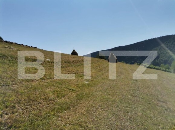 Teren de vânzare Rachitele - 154615TV | BLITZ Cluj-Napoca | Poza2