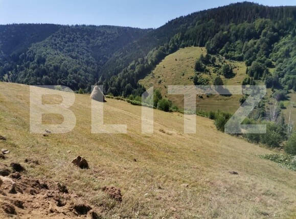 Teren de vânzare Rachitele - 154615TV | BLITZ Cluj-Napoca | Poza8