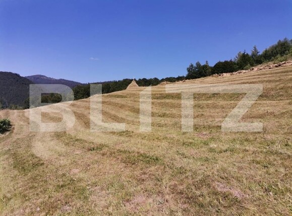 Teren de vânzare Rachitele - 154615TV | BLITZ Cluj-Napoca | Poza11