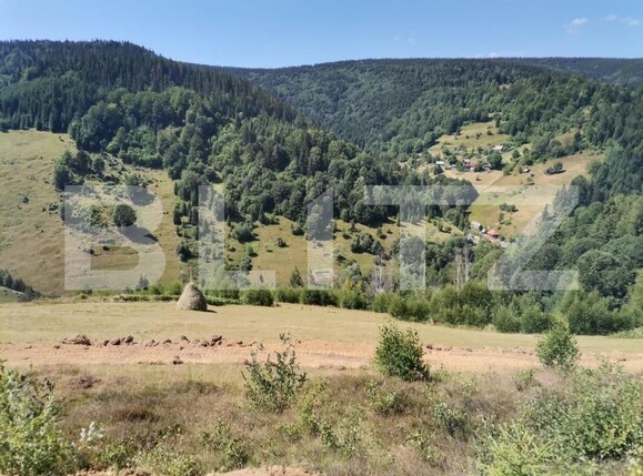 Teren de vânzare Rachitele - 154615TV | BLITZ Cluj-Napoca | Poza1