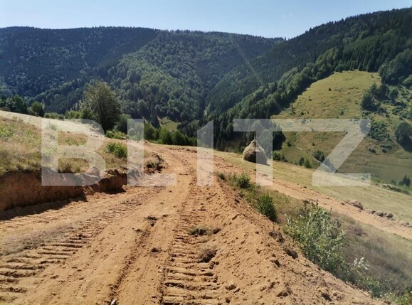 Teren de vânzare Rachitele - 154615TV | BLITZ Cluj-Napoca | Poza16