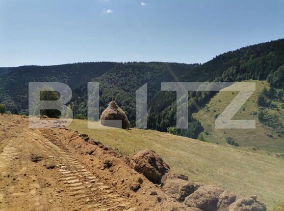 Teren de vânzare Rachitele - 154615TV | BLITZ Cluj-Napoca | Poza9