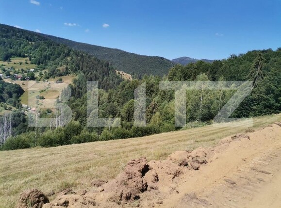 Teren de vânzare Rachitele - 154615TV | BLITZ Cluj-Napoca | Poza7