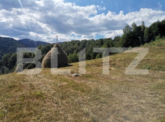 Teren de vânzare Rachitele - 154615TV | BLITZ Cluj-Napoca | Poza10