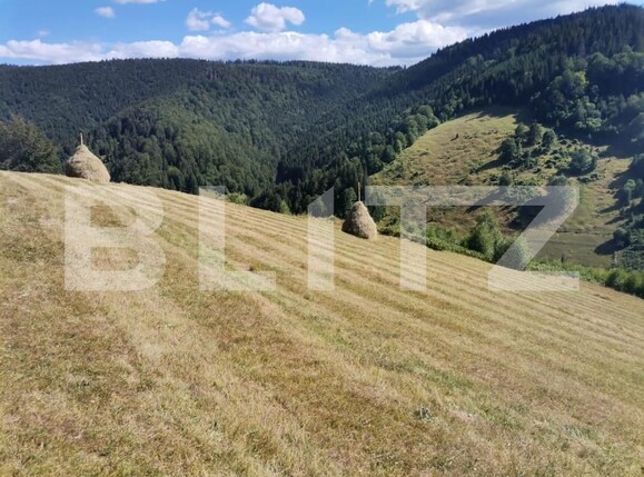 Teren de vânzare Rachitele - 154615TV | BLITZ Cluj-Napoca | Poza14