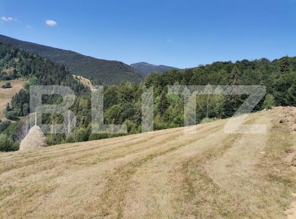 Teren de vânzare Rachitele - 154615TV | BLITZ Cluj-Napoca | Poza4