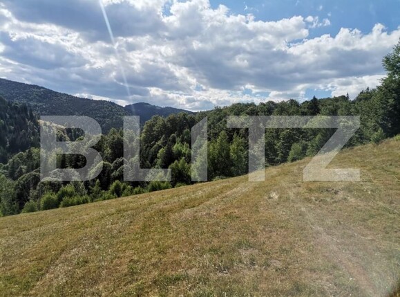 Teren de vânzare Rachitele - 154615TV | BLITZ Cluj-Napoca | Poza15