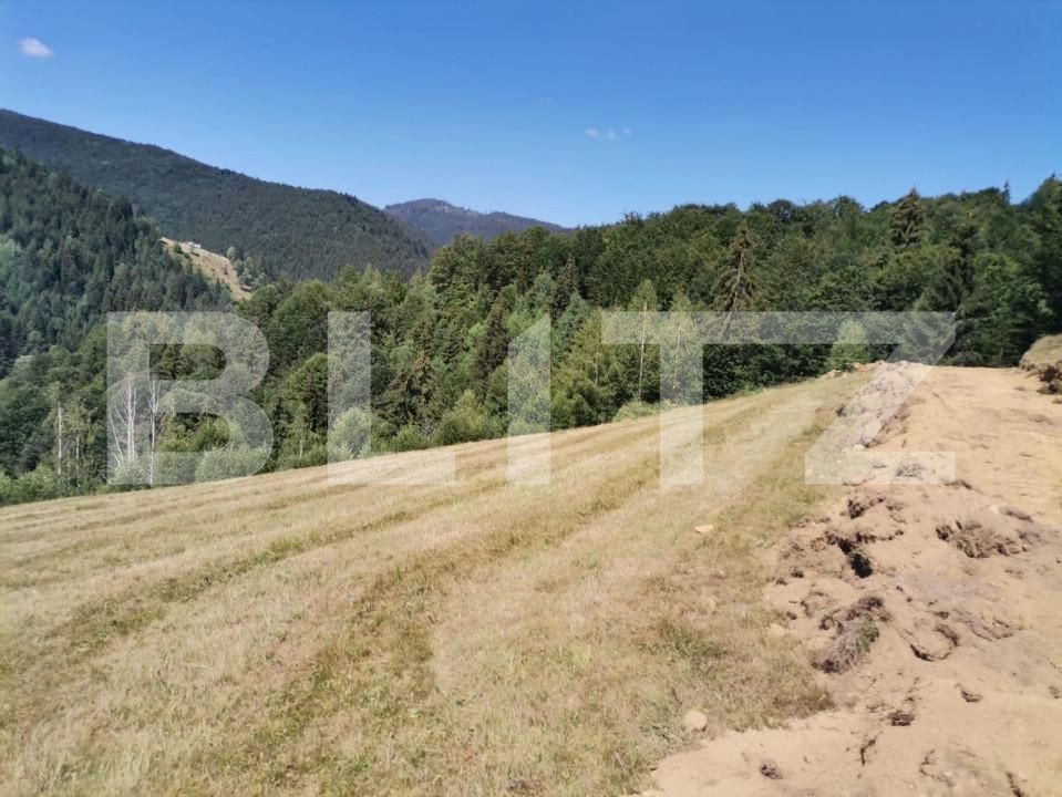 Teren de vânzare Rachitele - 154615TV | BLITZ Cluj-Napoca | Poza12