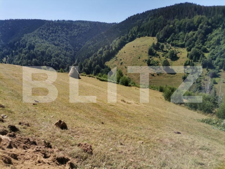 Teren de vânzare Rachitele - 154615TV | BLITZ Cluj-Napoca | Poza8