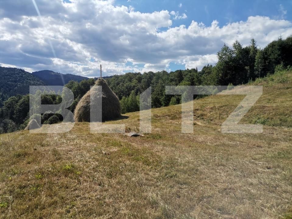 Teren de vânzare Rachitele - 154615TV | BLITZ Cluj-Napoca | Poza10