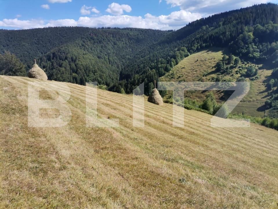 Teren de vânzare Rachitele - 154615TV | BLITZ Cluj-Napoca | Poza14