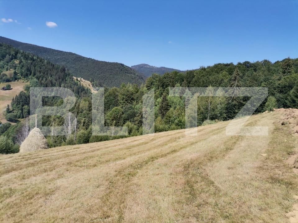 Teren de vânzare Rachitele - 154615TV | BLITZ Cluj-Napoca | Poza4