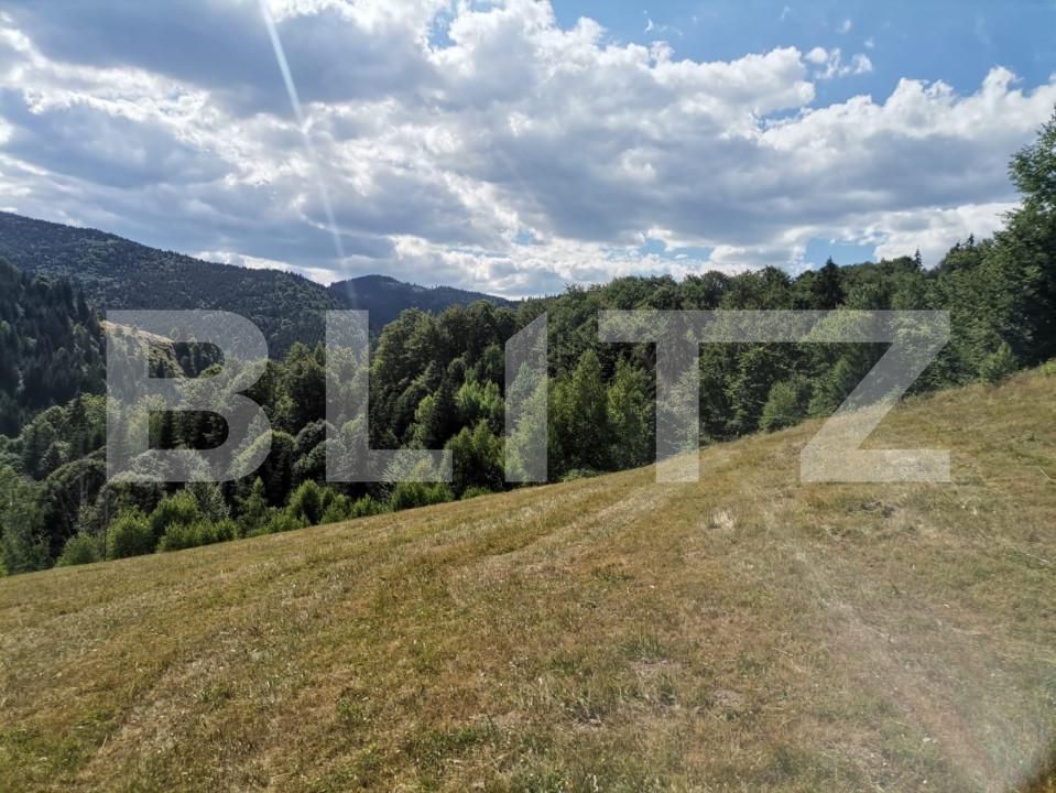 Teren de vânzare Rachitele - 154615TV | BLITZ Cluj-Napoca | Poza15
