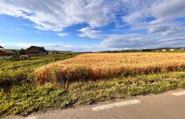 Teren 6340 mp, toate utilitatile in Jucu 