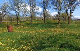 Casa 2 camere, 81 mp utili + 2225 teren , în satul Rediu