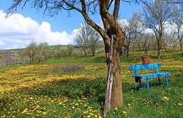 Casa 2 camere, 81 mp utili + 2225 teren , în satul Rediu