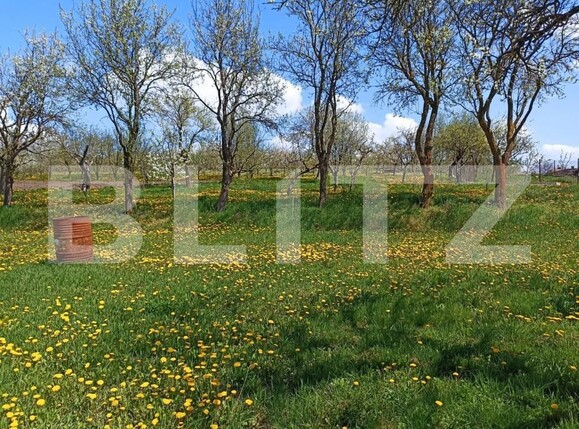 Casa de vânzare 2 camere Rediu - 154675CV | BLITZ Cluj-Napoca | Poza5