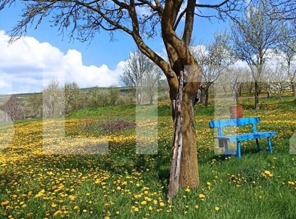 Casa de vânzare 2 camere Rediu - 154675CV | BLITZ Cluj-Napoca | Poza6