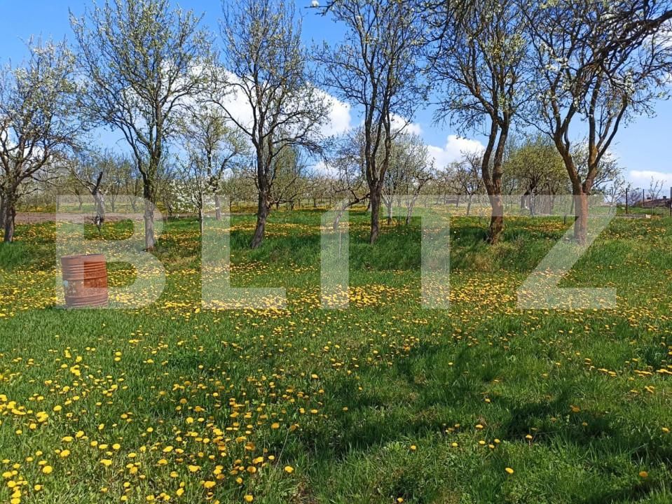 Casa de vânzare 2 camere Rediu - 154675CV | BLITZ Cluj-Napoca | Poza5