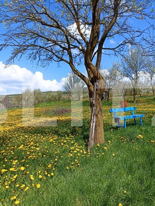 Casa de vânzare 2 camere Rediu - 154675CV | BLITZ Cluj-Napoca | Poza6