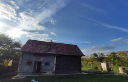 Casa de vanzare, 3212 mp teren, In Caianu-Vama!