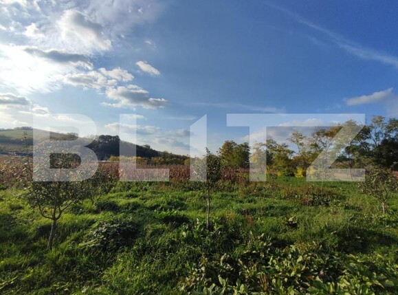 Casa de vânzare 2 camere Căianu - 154679CV | BLITZ Cluj-Napoca | Poza7