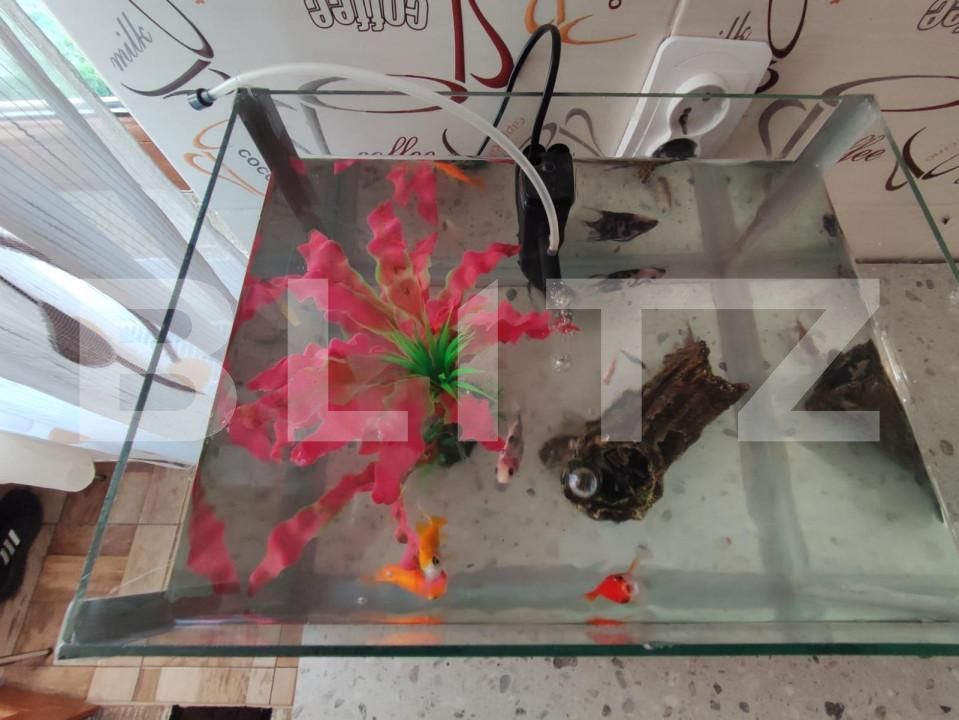 Casa de vânzare 2 camere Căianu - 154679CV | BLITZ Cluj-Napoca | Poza4