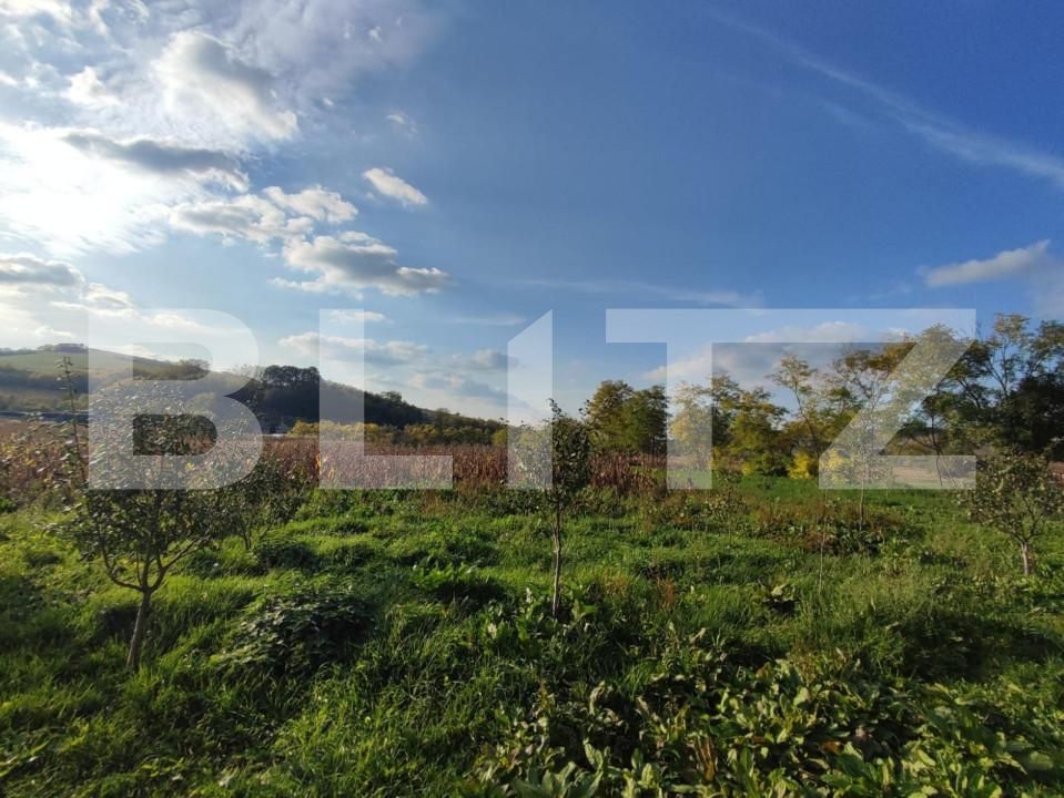 Casa de vânzare 2 camere Căianu - 154679CV | BLITZ Cluj-Napoca | Poza7