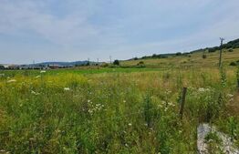 Teren intravilan, 1147 mp, utilitati, PUZ aprobat, Floresti