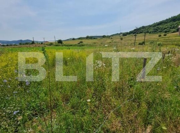 Teren de vânzare Luna de Sus - 154680TV | BLITZ Cluj-Napoca | Poza1