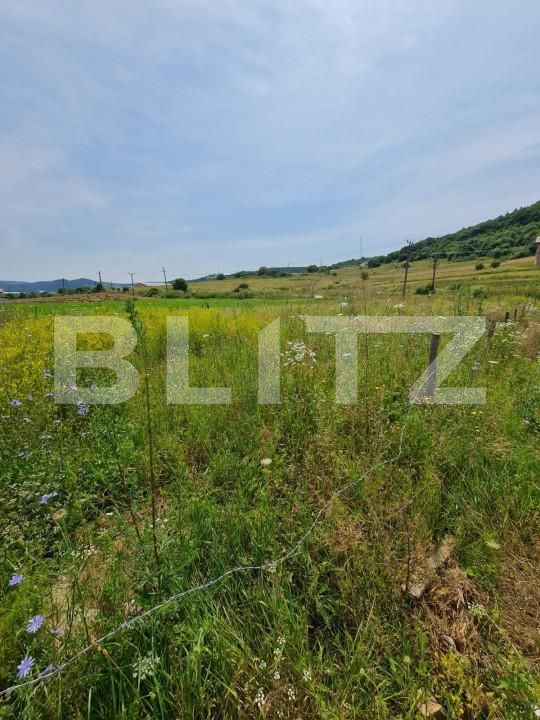 Teren de vânzare Luna de Sus - 154680TV | BLITZ Cluj-Napoca | Poza1