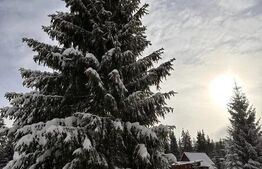 Teren pentru cabana, 2368 mp, Smida 