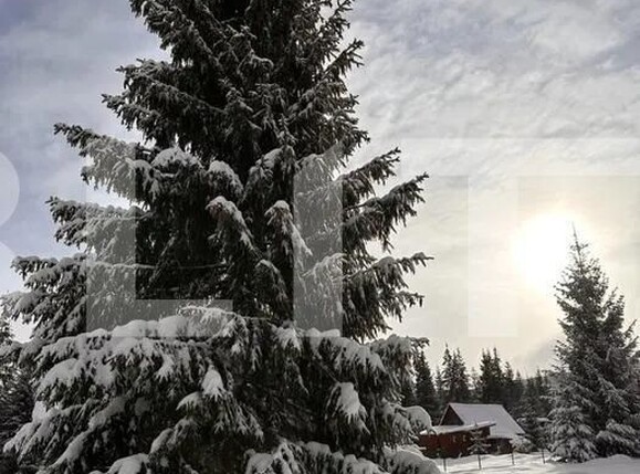 Teren de vânzare Smida - 154681TV | BLITZ Cluj-Napoca | Poza2