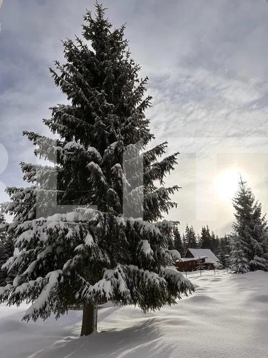 Teren de vânzare Smida - 154681TV | BLITZ Cluj-Napoca | Poza2