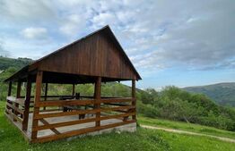 Cabana de 210mp, 2600 mp teren, in Rachitele