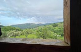 Cabana de 210mp, 2600 mp teren, in Rachitele