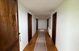 Cabana de 210mp, 2600 mp teren, in Rachitele