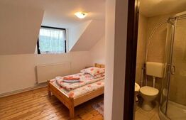 Cabana de 210mp, 2600 mp teren, in Rachitele